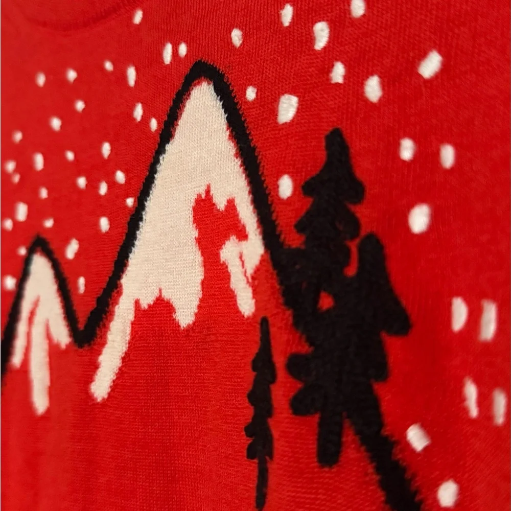 J.Crew Tippi Apres Ski Merino Wool Sweater, Large
